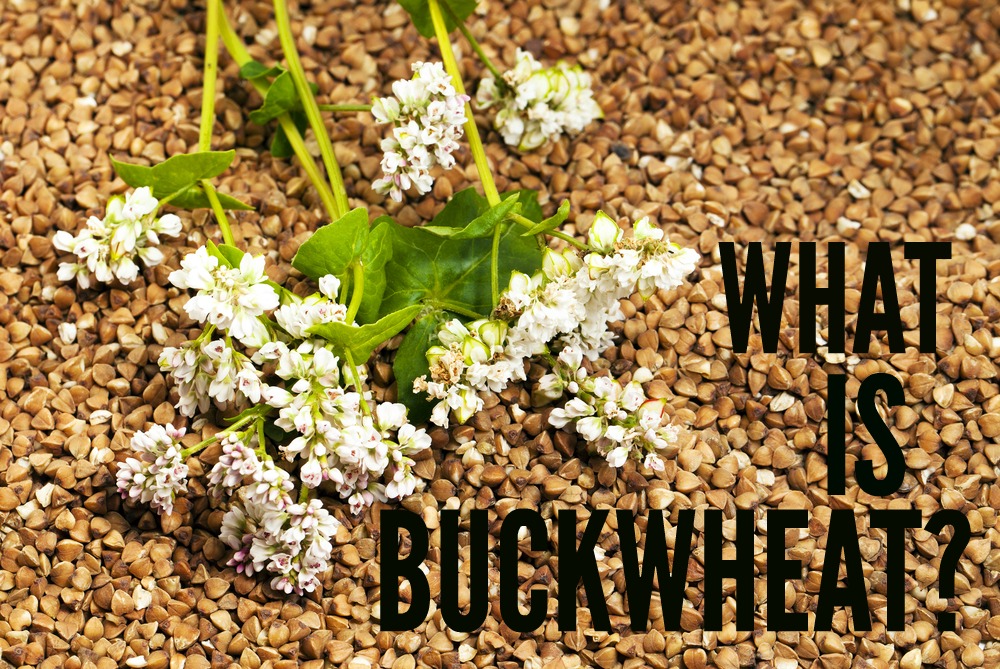 Important Buckwheat Health Benefits